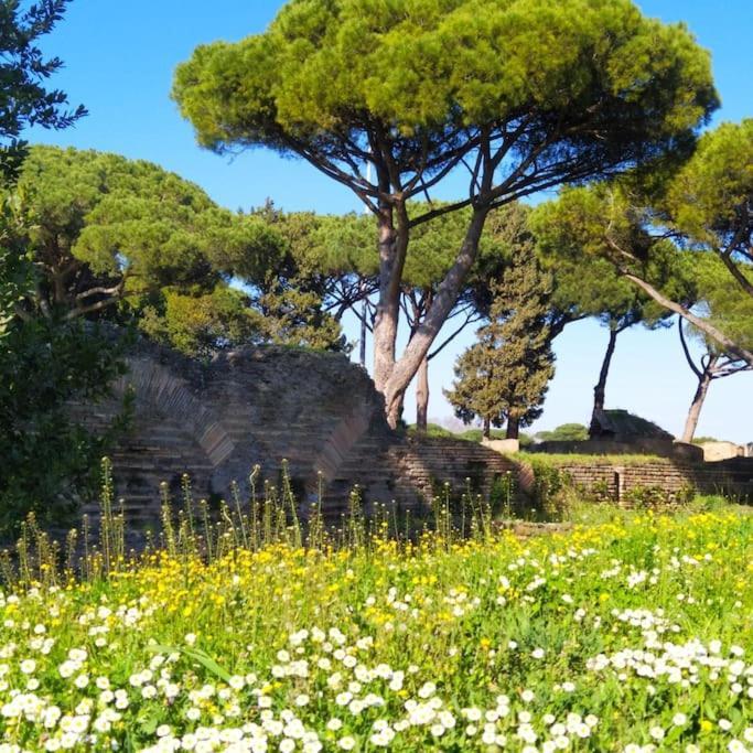 Per Antiqua Itinere Lejlighed Ostia Antica Eksteriør billede
